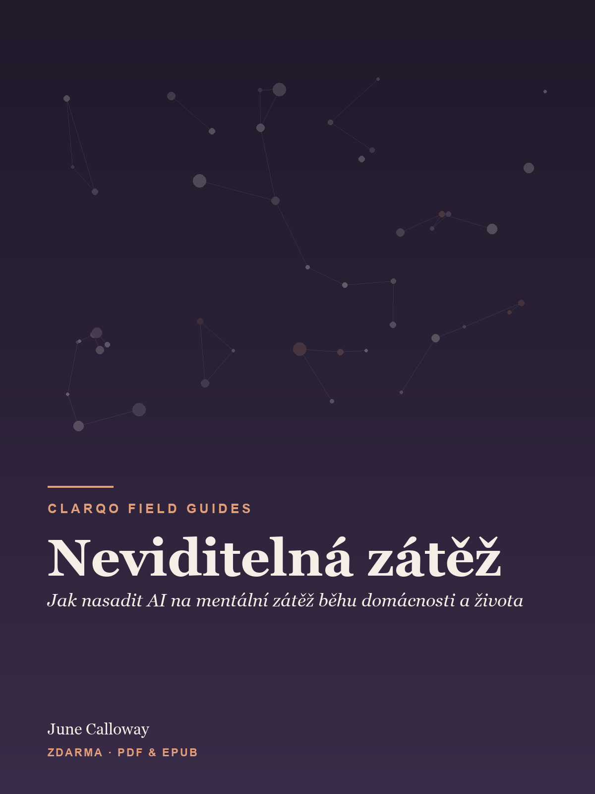 Neviditelná zátěž — cover